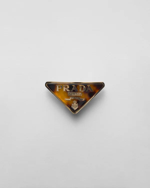Pinza para el pelo de plexiglás y metal